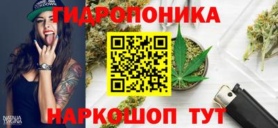 молекула духа Ефремов