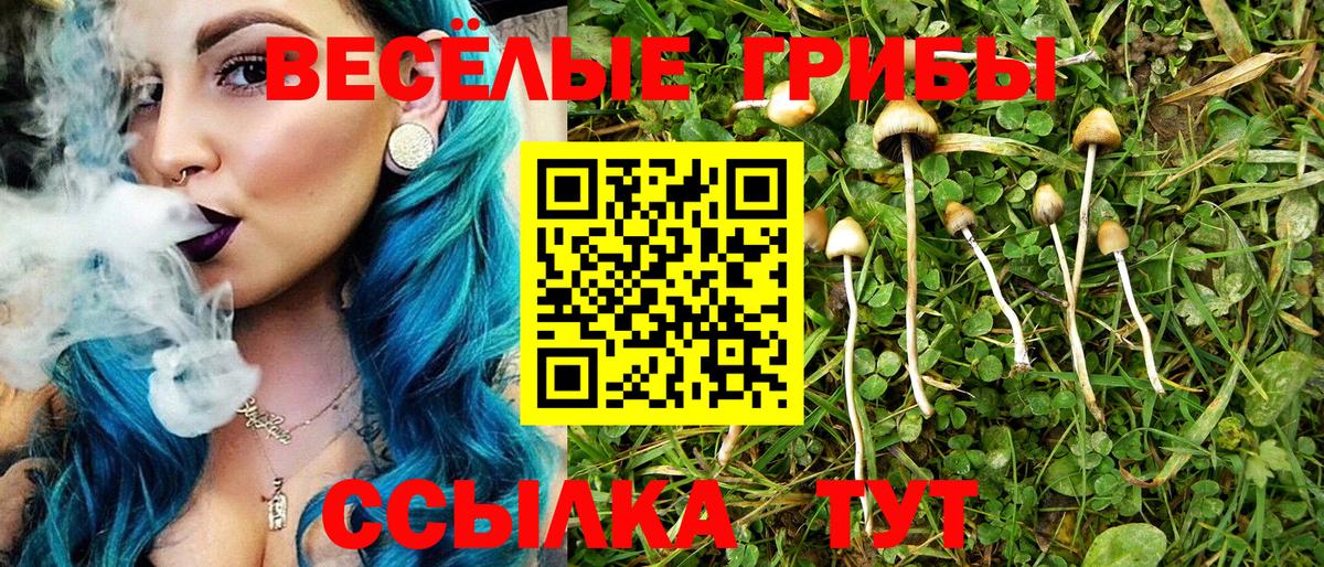 Псилоцибиновые грибы MAGIC MUSHROOMS Благодарный