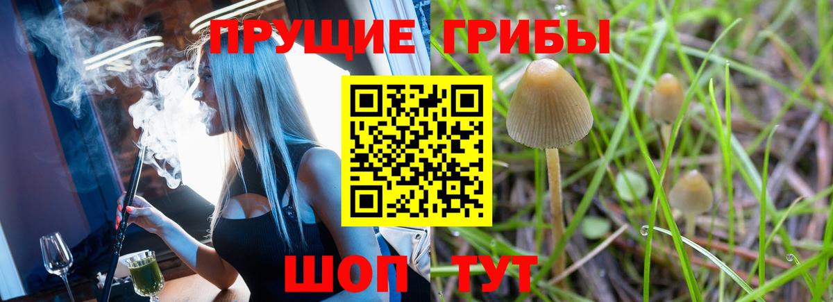 Псилоцибиновые грибы Cubensis  Псилоцибиновые грибы мухоморы  Благодарный  Вход с VPN 